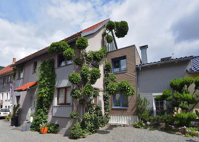 Steinbach Nahe Skihalle Oberhof, Cleaning Included Daire