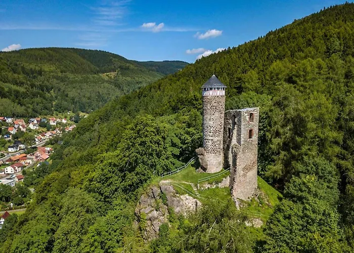 Steinbach Nahe Skihalle Oberhof, Cleaning Included Daire