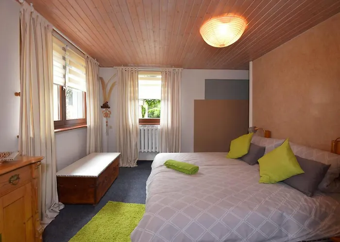 Steinbach Nahe Skihalle Oberhof, Cleaning Included