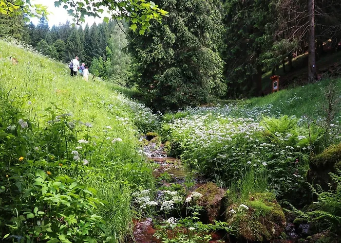 Steinbach Nahe Skihalle Oberhof, Cleaning Included Daire Kurort Steinbach-Hallenberg